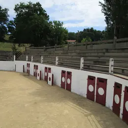 Visite des arènes de Bahus-Soubiran