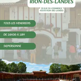 Visite des arènes de Rion des Landes