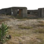 Visite des Bunkers (Sur réservation)