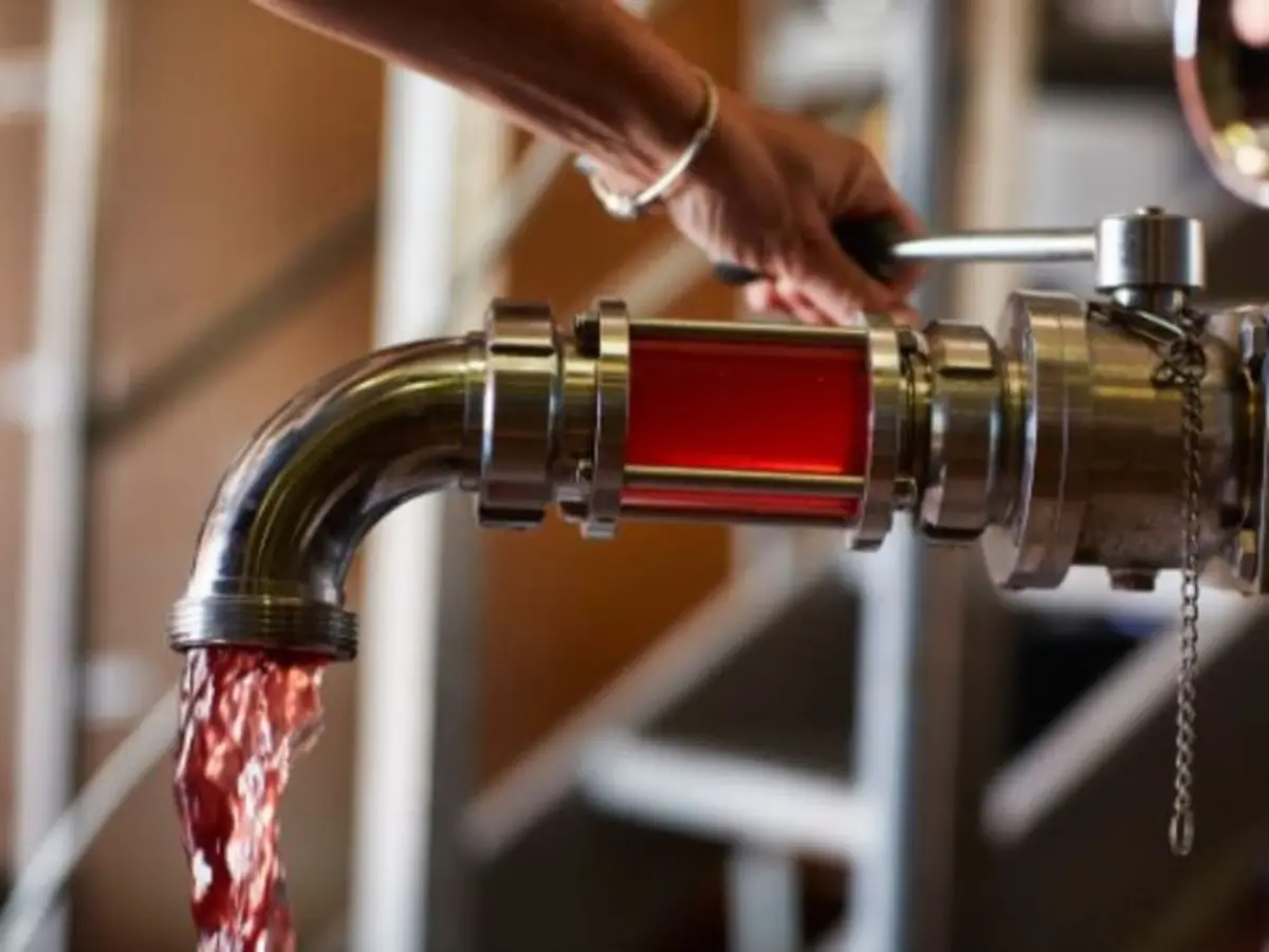 Visite des chais et dégustation personnalisée à Sarrians (84)