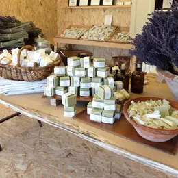 Visite des champs de lavande à Terre Ugo