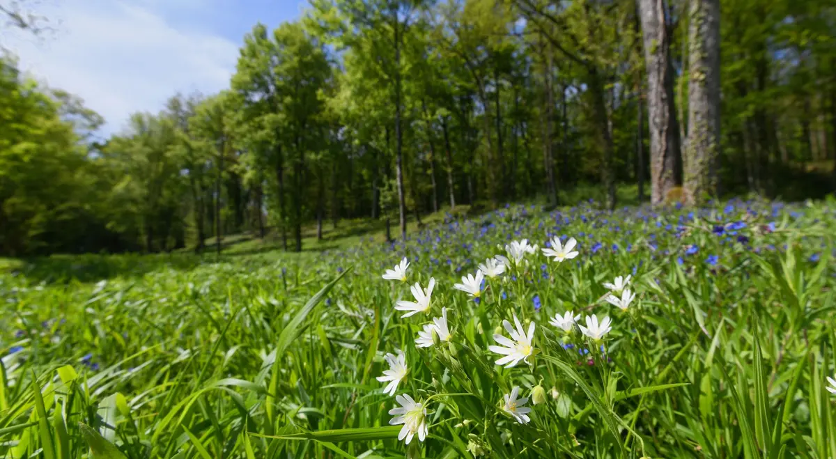 Visite des étangs de Narbonne au fil des saisons