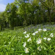 Visite des étangs de Narbonne au fil des saisons