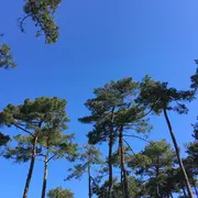 Visite des forages de la forêt du Pignada
