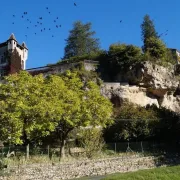 Visite des jardins