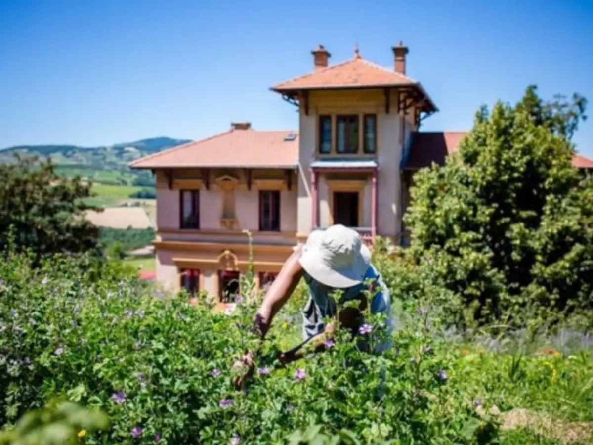 Visite des jardins en permaculture près de Lyon (69)