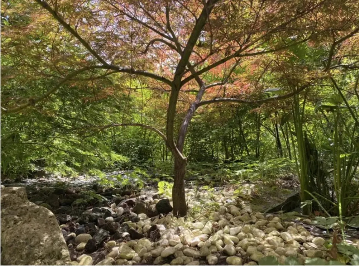 Visite des lilliputiens, une question de point de vue - Rendez-vous aux jardins
