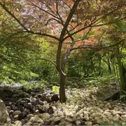 Visite des lilliputiens, une question de point de vue - Rendez-vous aux jardins