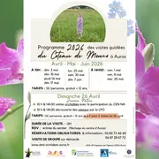 Visite des orchidées du sentier de Monco