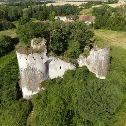 Visite des ruines du château-fort