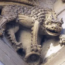 Visite Dijon, jungle urbaine!