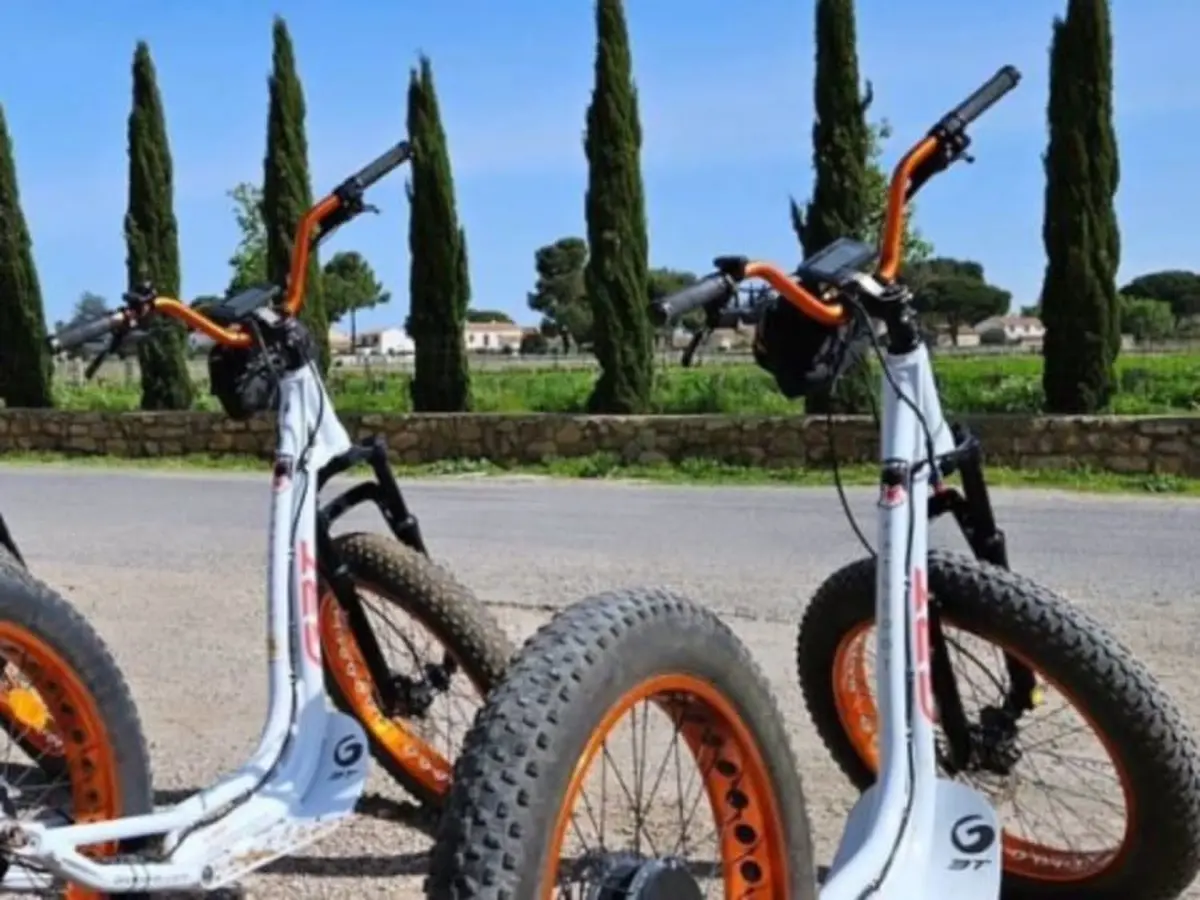 Visite Domaine viticole en trottinette &eacute;lectrique &agrave; Lansargues