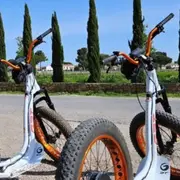 Visite Domaine viticole en trottinette électrique à Lansargues