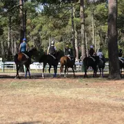 Visite du centre d’entraînement et coulisses de l’hippodrome