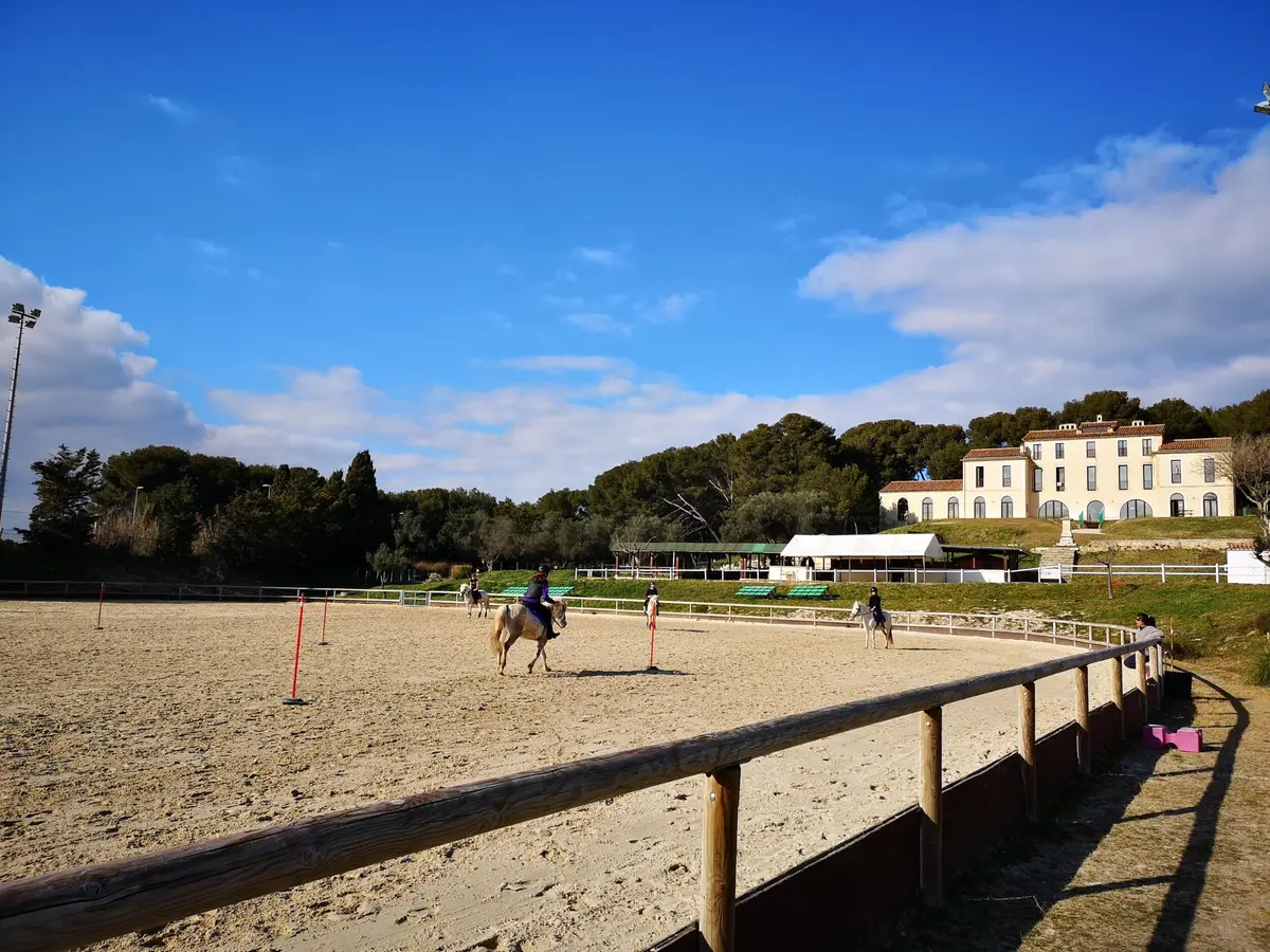 Visite du centre équestre Le Deven