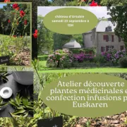 Visite du château d\'Urtubie  + Atelier découverte des plantes médicinales , confection de son infusion