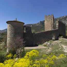 Visite  du Château de Baulx