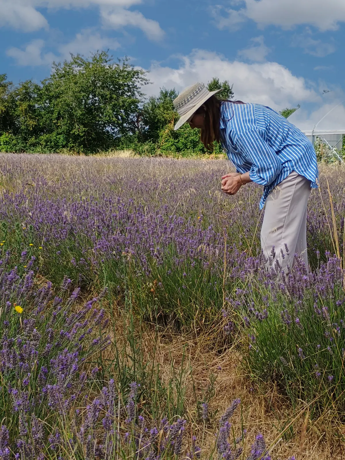 Visite du CLos Constance