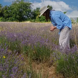 Visite du CLos Constance