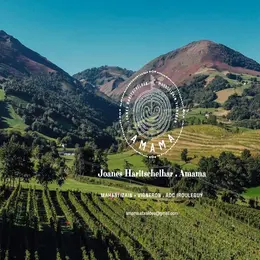 Visite du domaine Amama-AOP Irouléguy