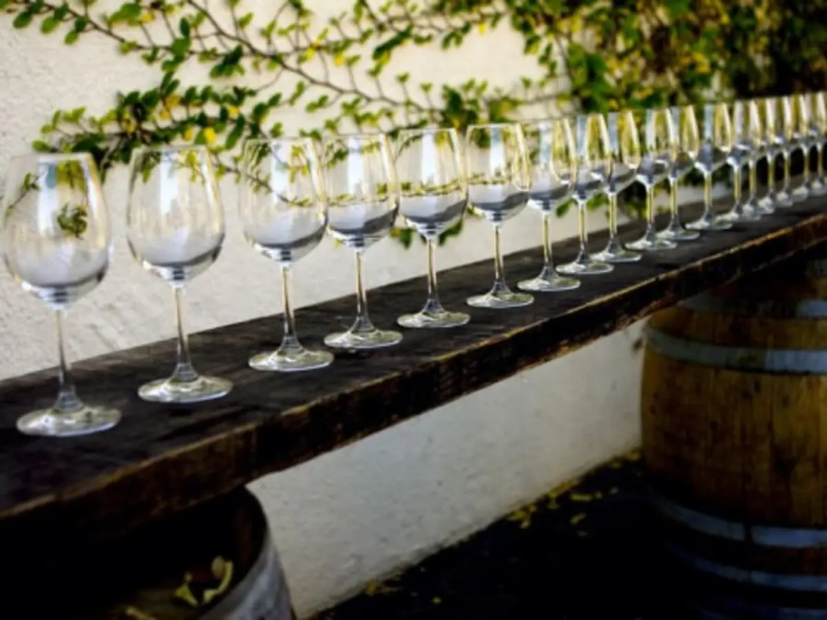 Visite du domaine et cours d'œnologie près de Nantes (44)