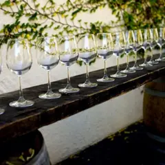 Visite du domaine et cours d'œnologie près de Nantes (44)