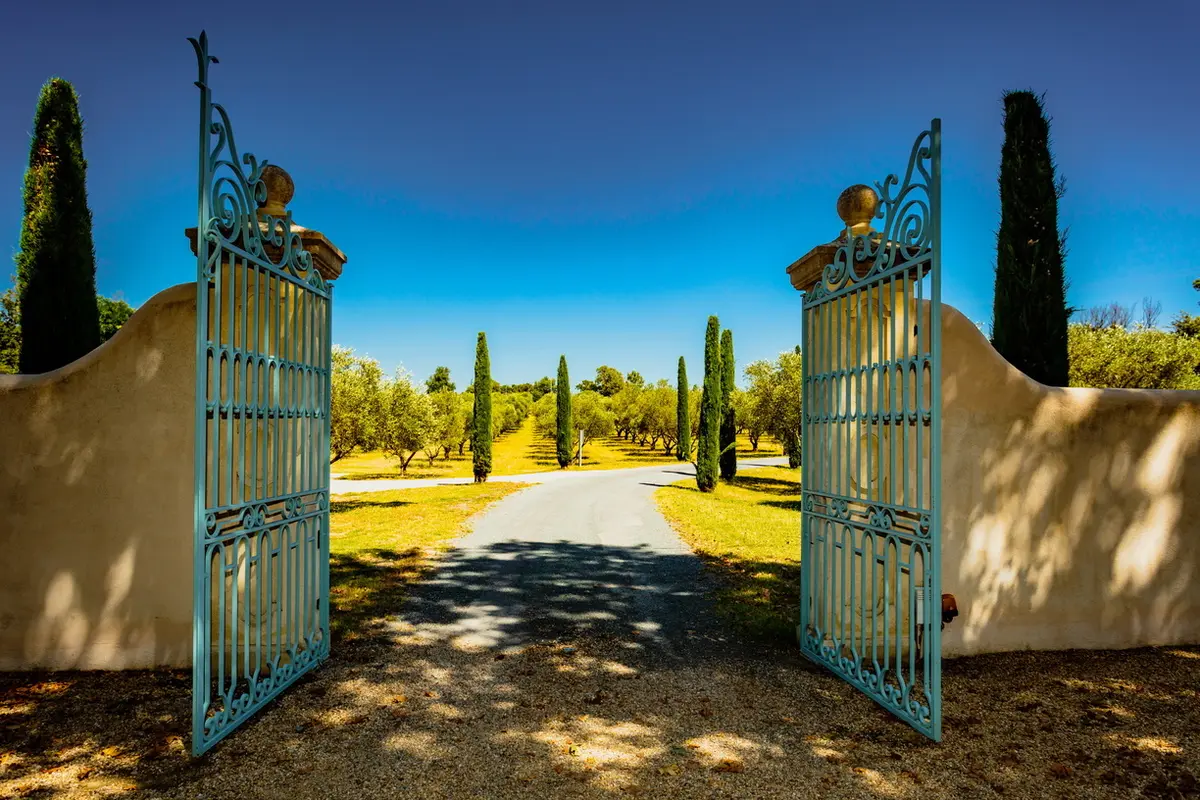 Visite Du Domaine Oleicole De Pradines Le Bas