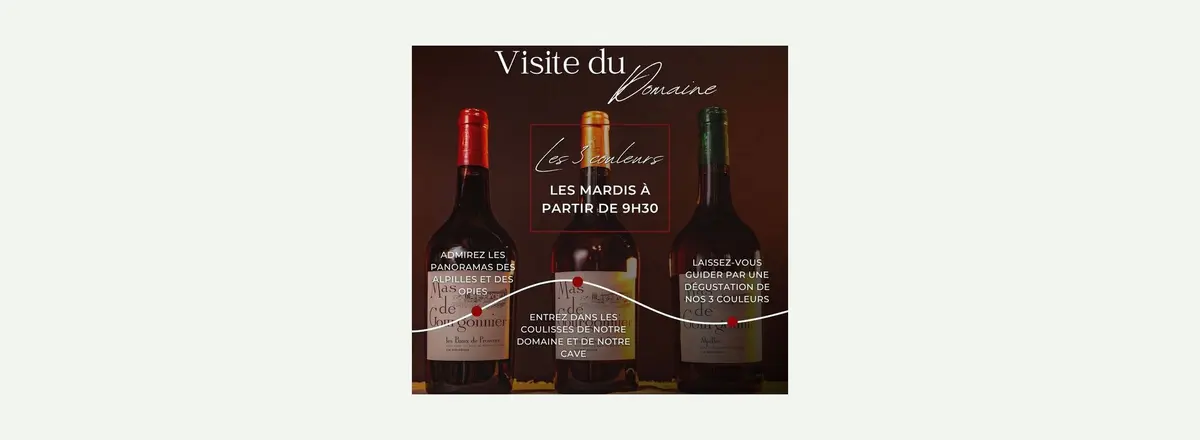 Visite du domaine viticole Mas de Gourgonnier - Les 3 couleurs