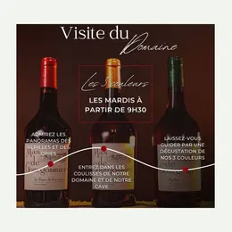 Visite du domaine viticole Mas de Gourgonnier - Les 3 couleurs
