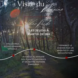 Visite du domaine viticole Mas de Gourgonnier - Rando vino