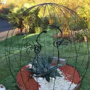 Visite du Jardin Caché