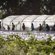 Visite du Jardin de deux'main : ferme agroécologique
