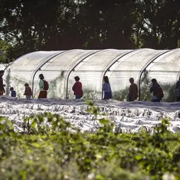 Visite du Jardin de deux'main : ferme agroécologique