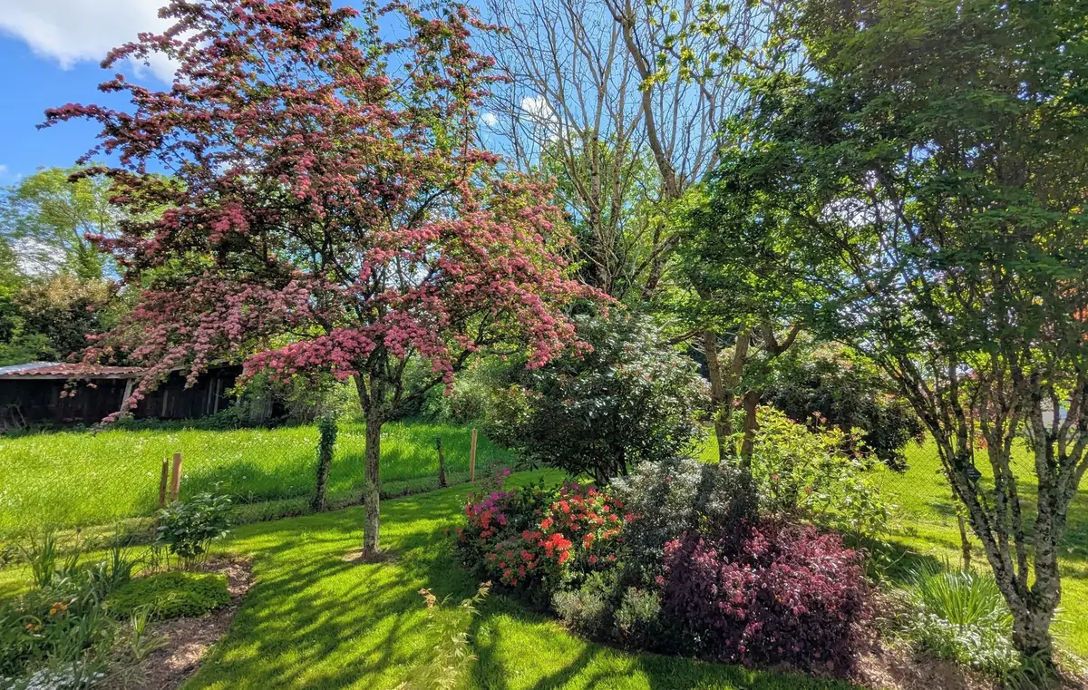 Visite du jardin de l'Emile au Foyer Rural