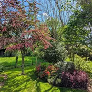 Visite du jardin de l'Emile au Foyer Rural