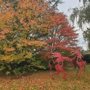 Visite du jardin habité de St Georges