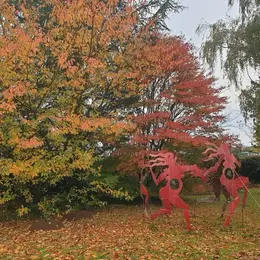 Visite du jardin habité de St Georges