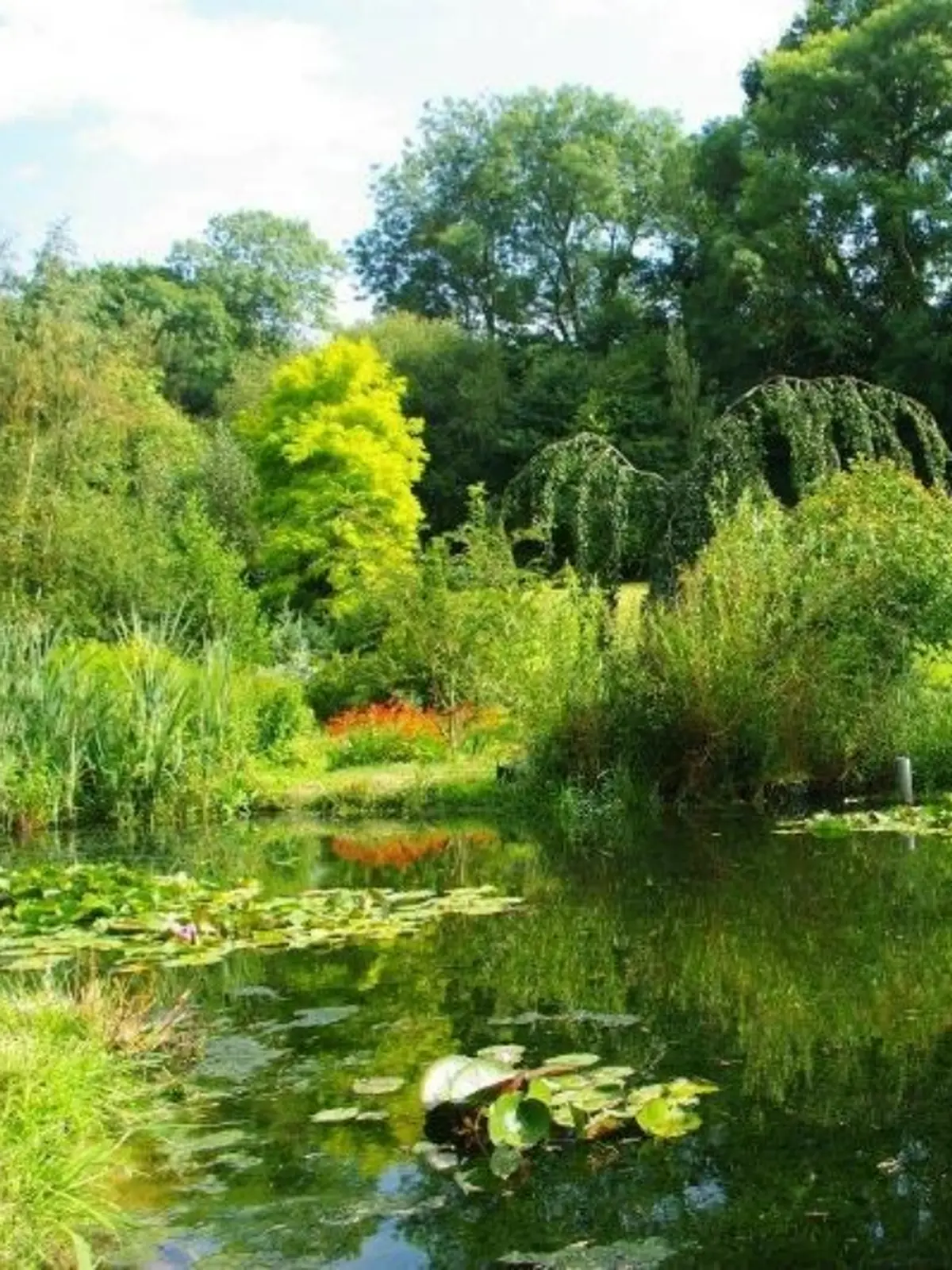 Visite du jardin Le pré du moulin