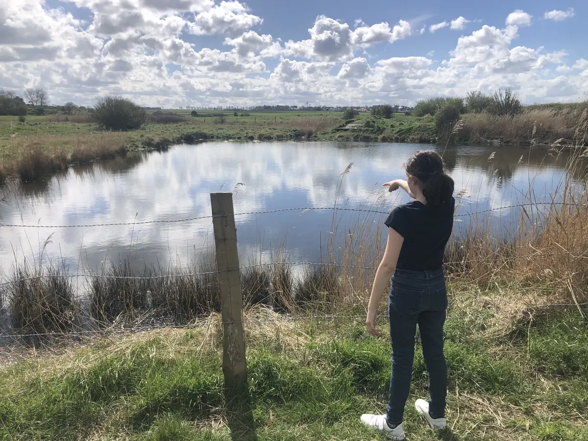 Visite du Littoral Berniérais