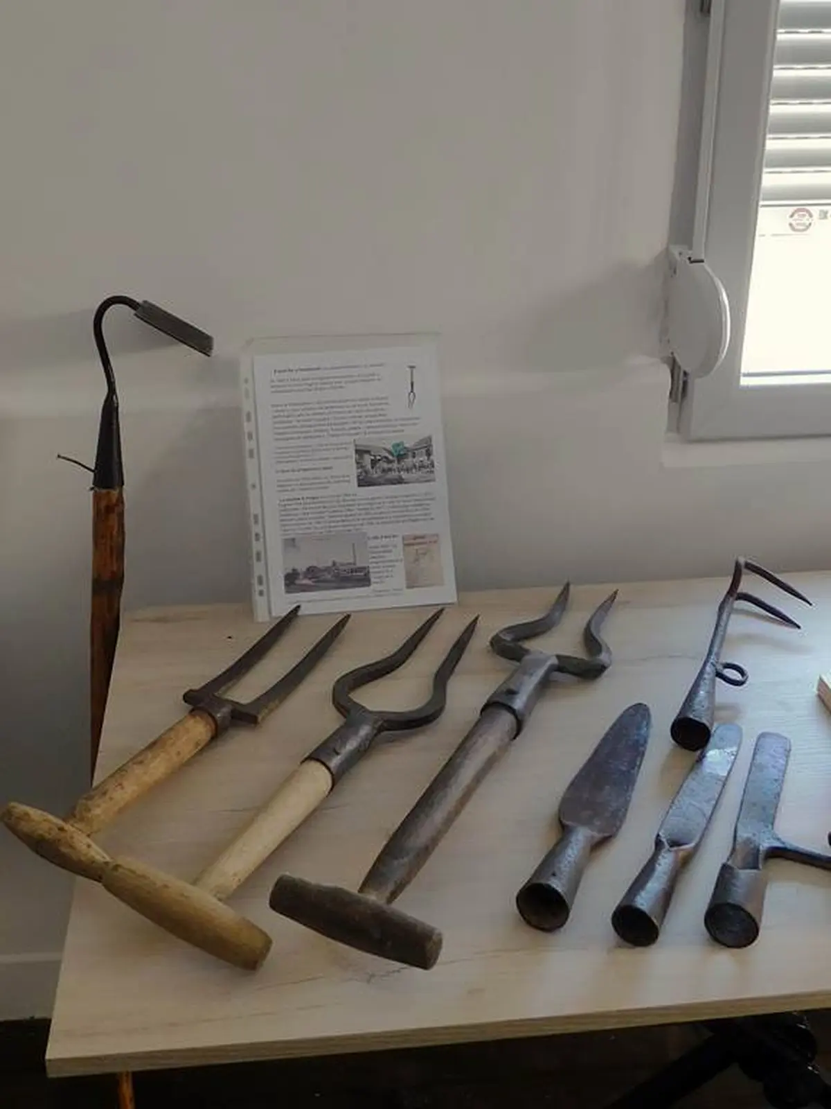 Visite du Moulin de la CAJ et du Musée de la Ruralité