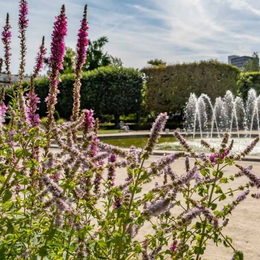 Visite du parc de Choisy au square de la Raffinerie Say