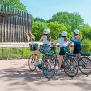 Visite du Parc de la Tête d'Or à Vélo électrique à Lyon  (69)