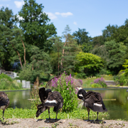 Visite du parc Floral de Paris