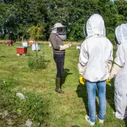 Visite du Rucher d'Artémis
