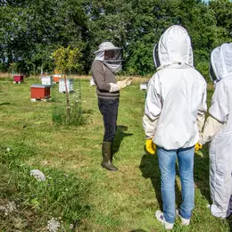 Visite du Rucher d'Artémis