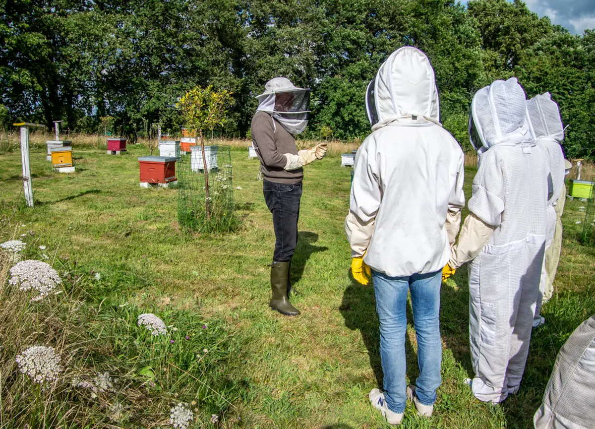 Visite du Rucher d'Artémis