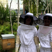 Visite du rucher du Parc André-Citroën