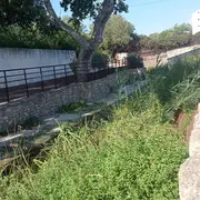 Visite du site archéologique de Tholon