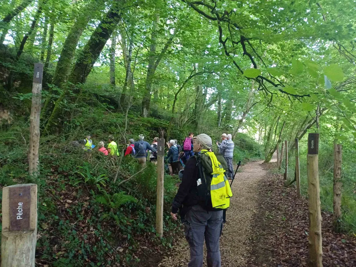 Visite du site archéologique des grottes du Pape - Randonnée