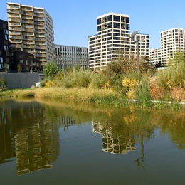 Visite du square des Batignolles au Parc Martin Luther King